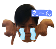 264051530
