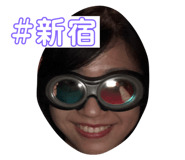 264051553