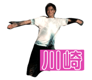 264051556