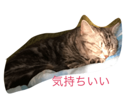 26406060