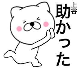 26428055