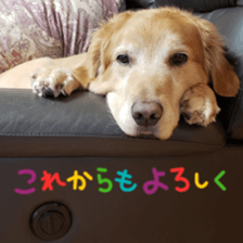 264486786