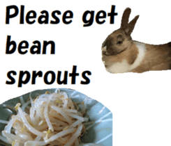 26451844