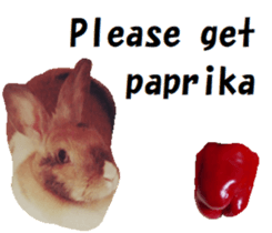 26451845