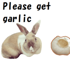 26451857