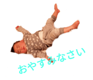 264581841