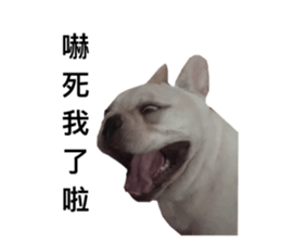 264592343