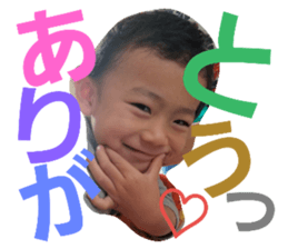 26460545