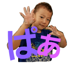 26460561