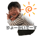 264619817