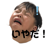 264619820