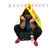 264746513