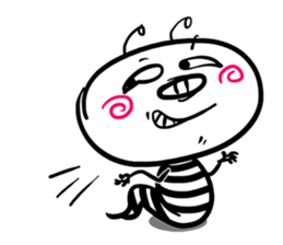 264768236