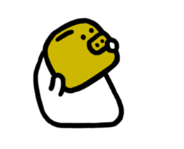 264795018