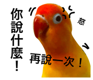 26485170