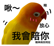 26485173