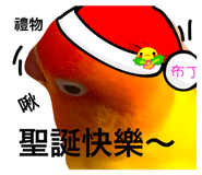 26485175