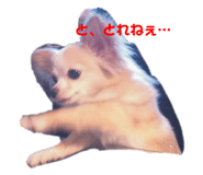 264852598