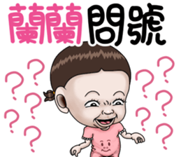 265050419
