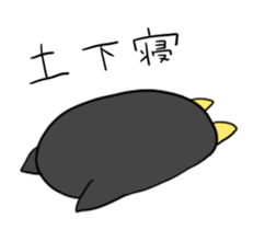 2650976