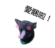265130775