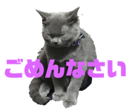 265234272