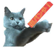 265234281