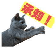 265234284