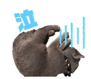 265234286