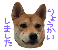 26526511