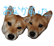 26526512
