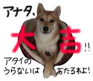 26526514
