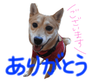 26526515