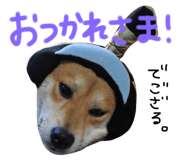 26526518
