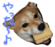 26526519
