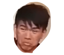 26527834