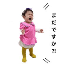 265331553