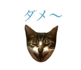 26534487