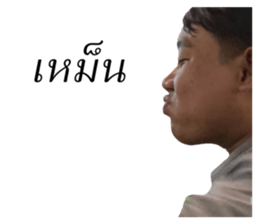 265361808