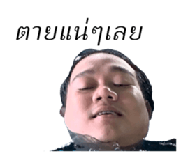 265361810