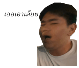 265361824
