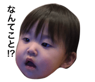 26537213
