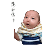 265451841