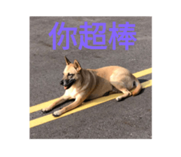 265467270