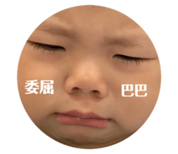 265534046