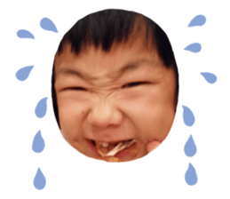 265555403