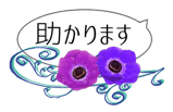 265684090