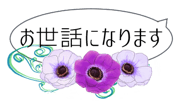 265684095