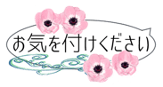 265684106