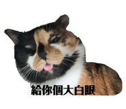 265757125